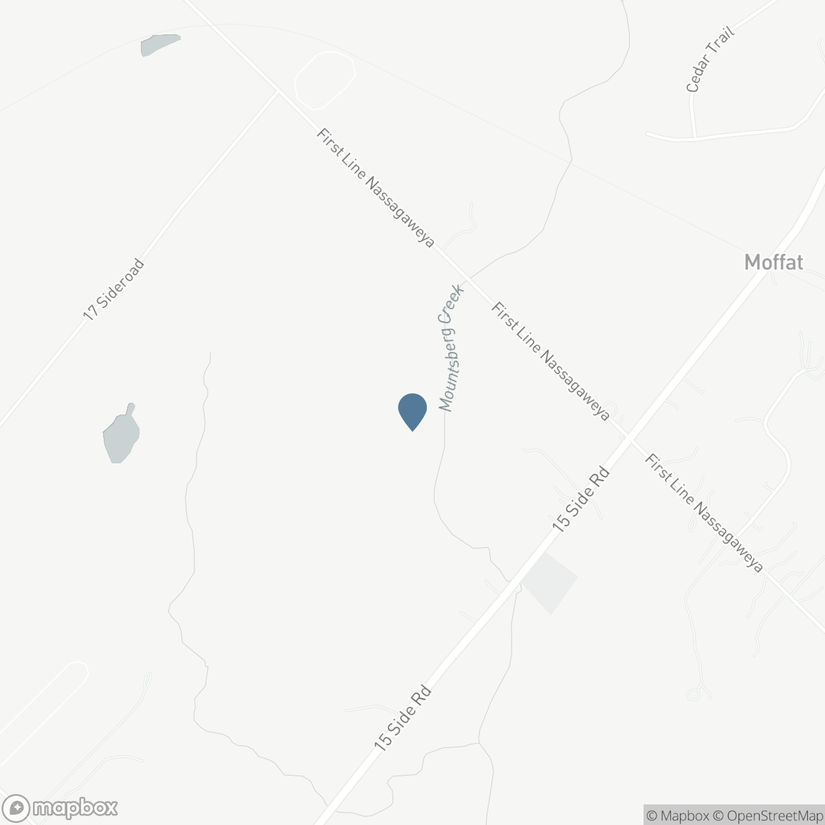 11080 FIRST LINE NASSAGAWEYA, Milton, Ontario L0P 1J0